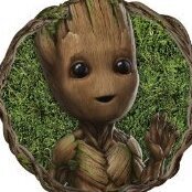 Groot9